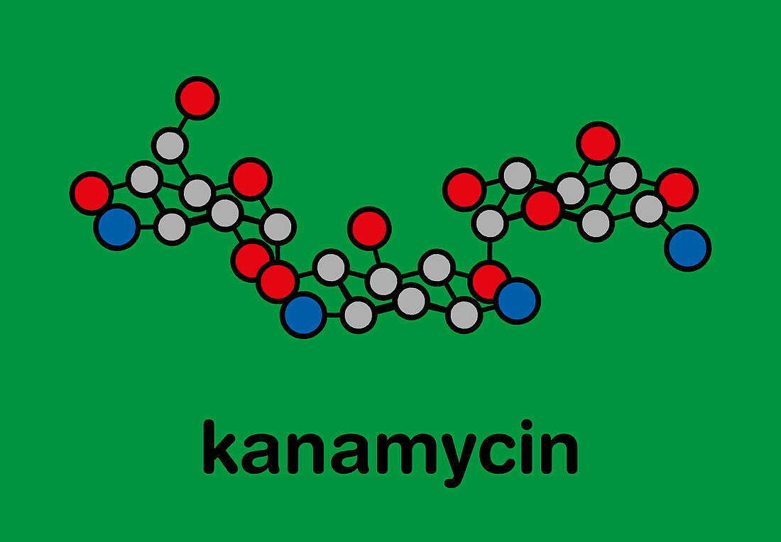 Kanamycin antibiotic drug molecule, illustration