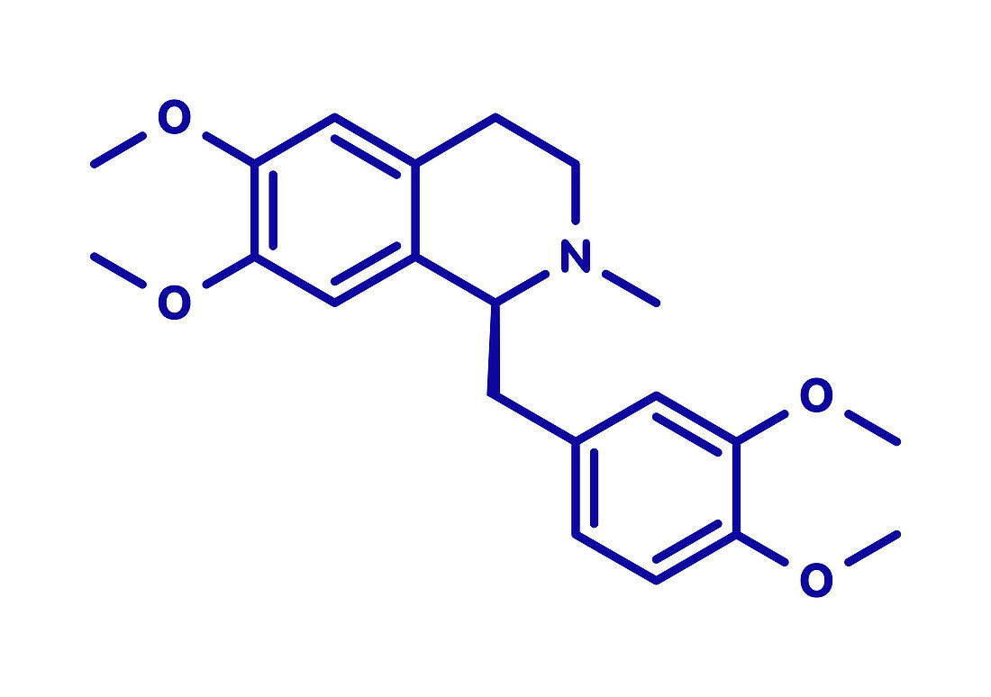 Laudanosine papaver alkaloid molecule, illustration