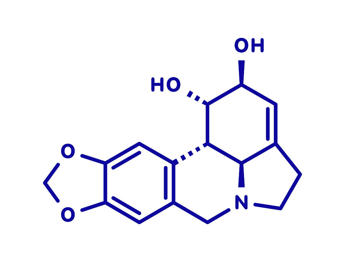 Lycorine alkaloid molecule, illustration