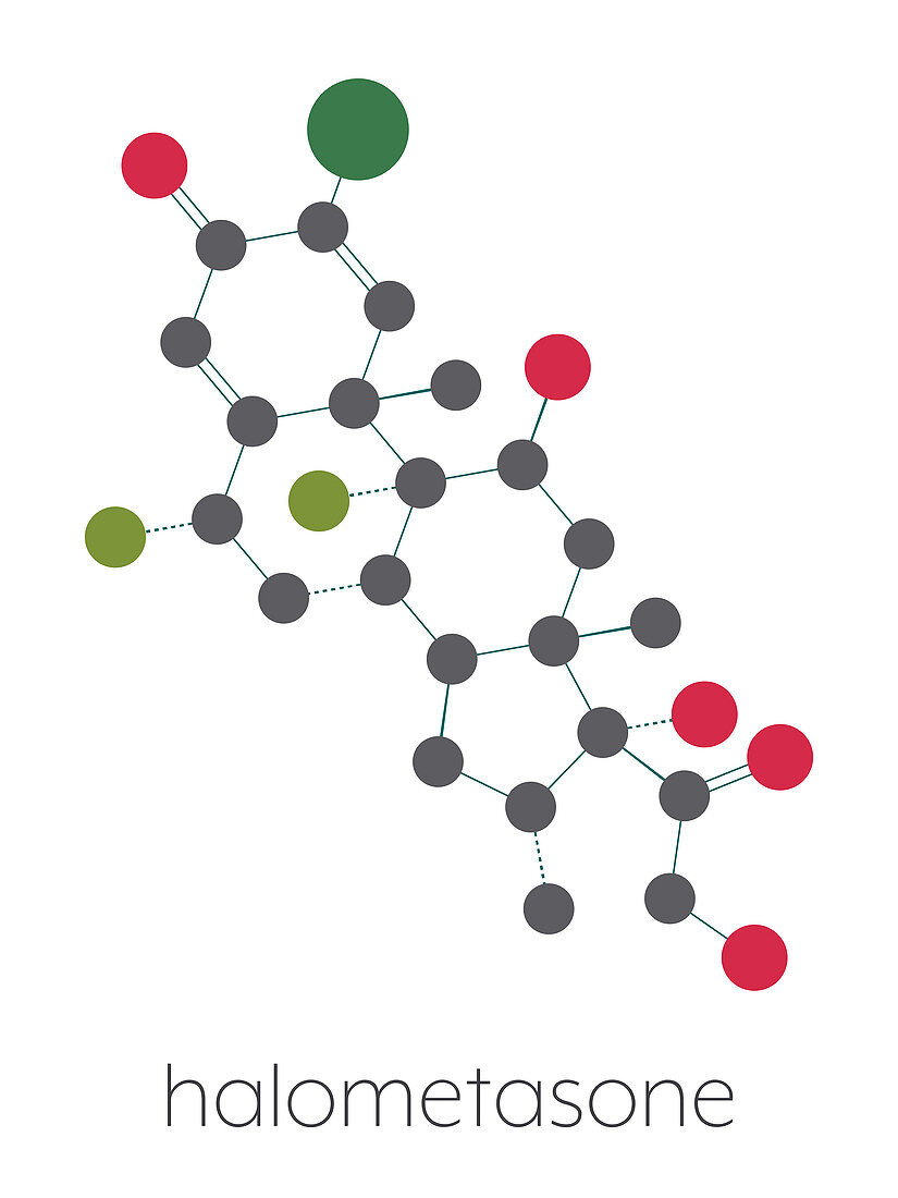 Halometasone corticosteroid drug molecule, illustration
