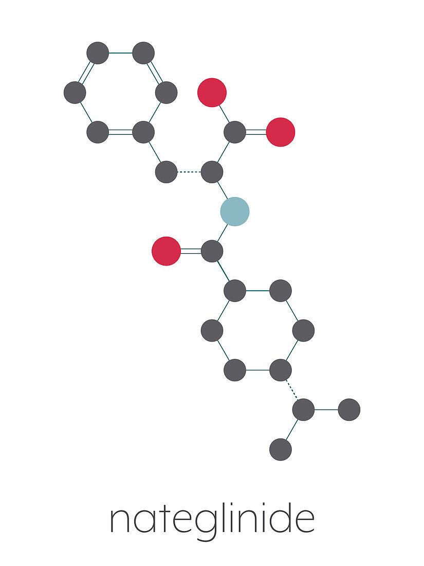 Nateglinide diabetes drug molecule, illustration