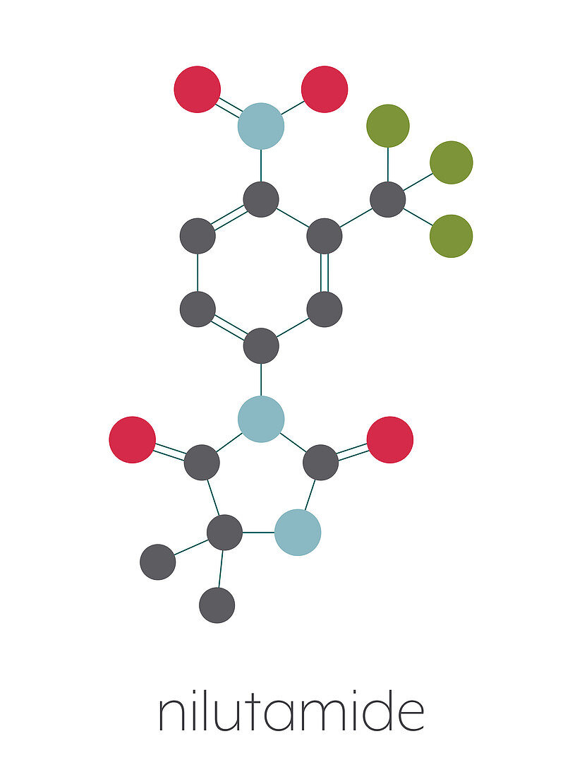Nilutamide prostate cancer drug molecule, illustration
