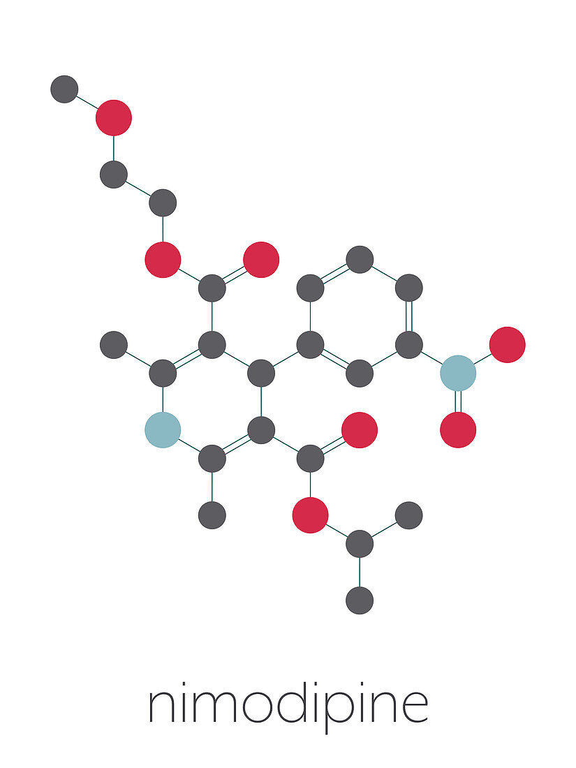 Nimodopine vasospasm drug molecule, illustration