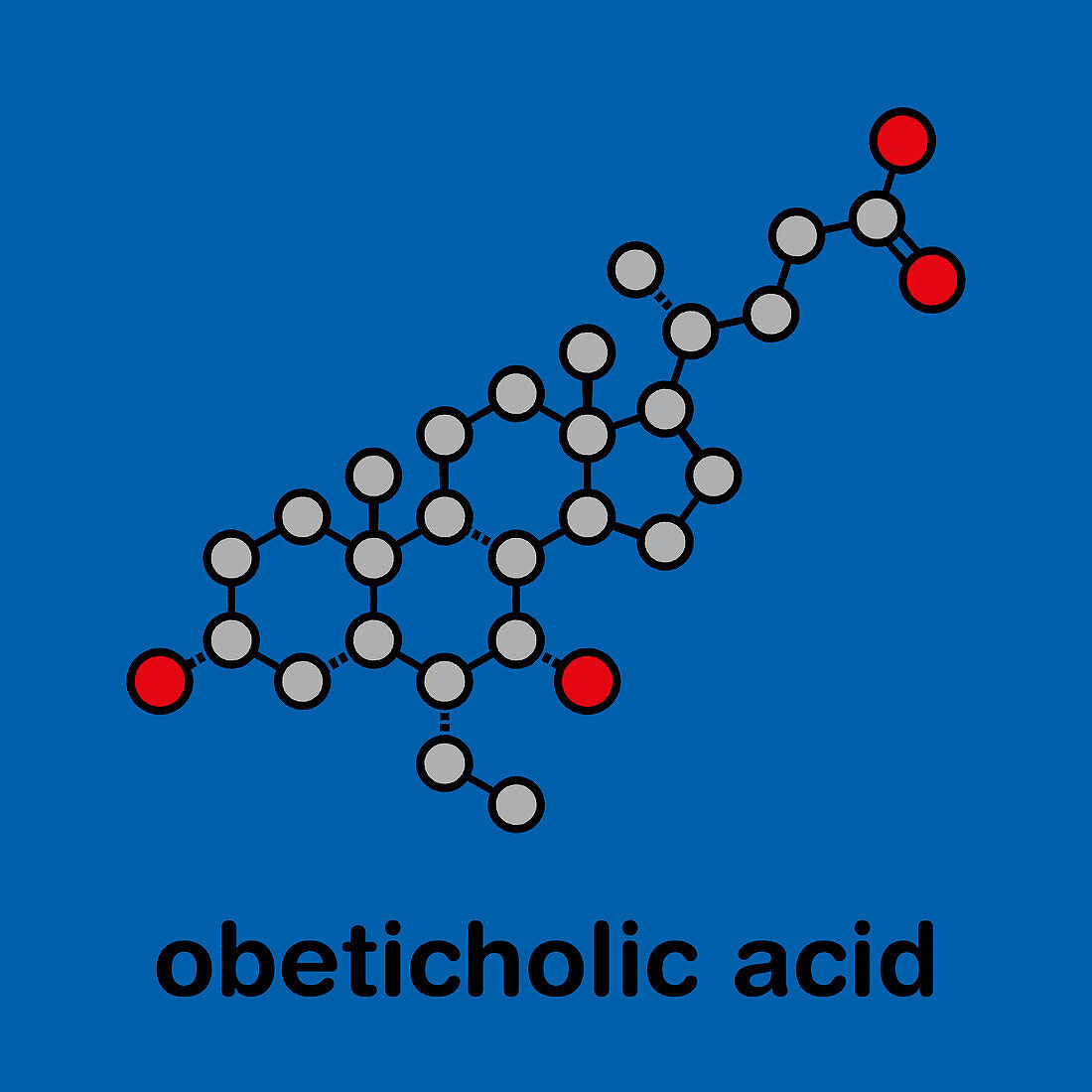 Obeticholic acid liver disease drug molecule, illustration