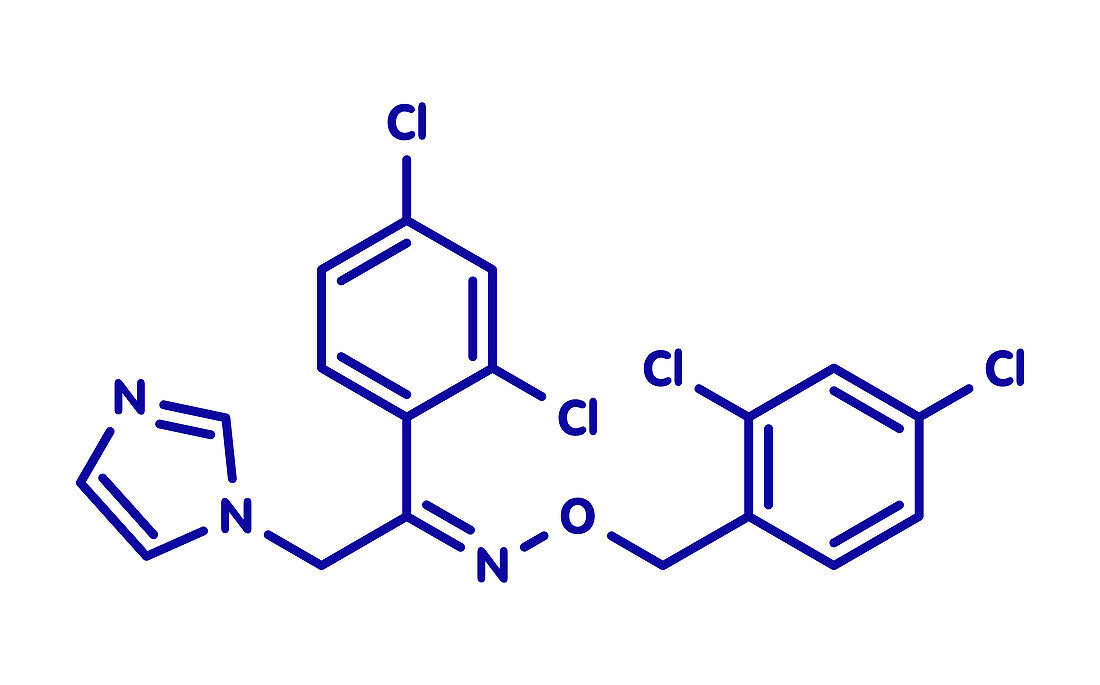 Oxiconazole antifungal drug molecule, illustration