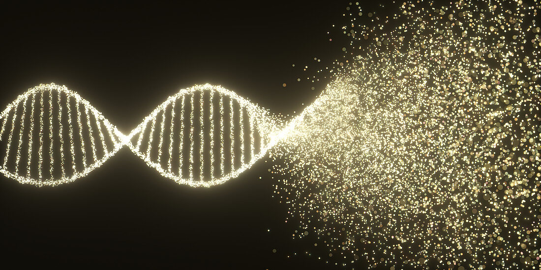 DNA damage, conceptual illustration