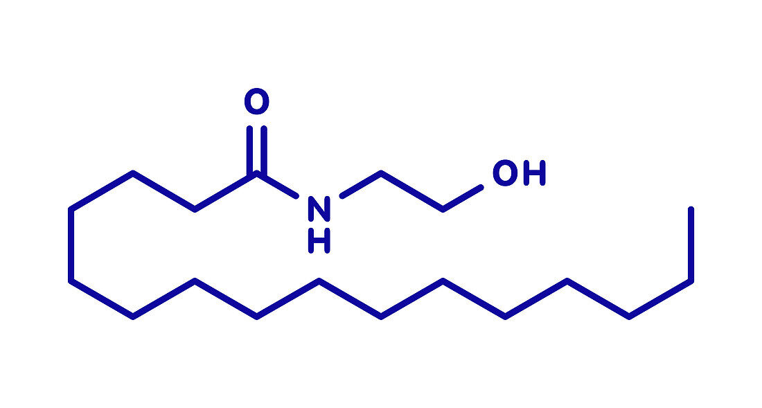 Palmitoylethanolamide drug molecule, illustration