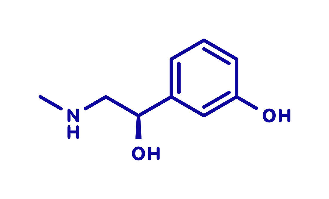 Phenylephrine nasal decongestant drug molecule, illustration