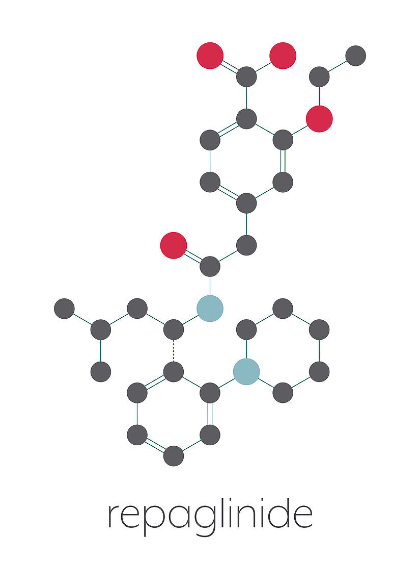 Repaglinide diabetes drug molecule, illustration