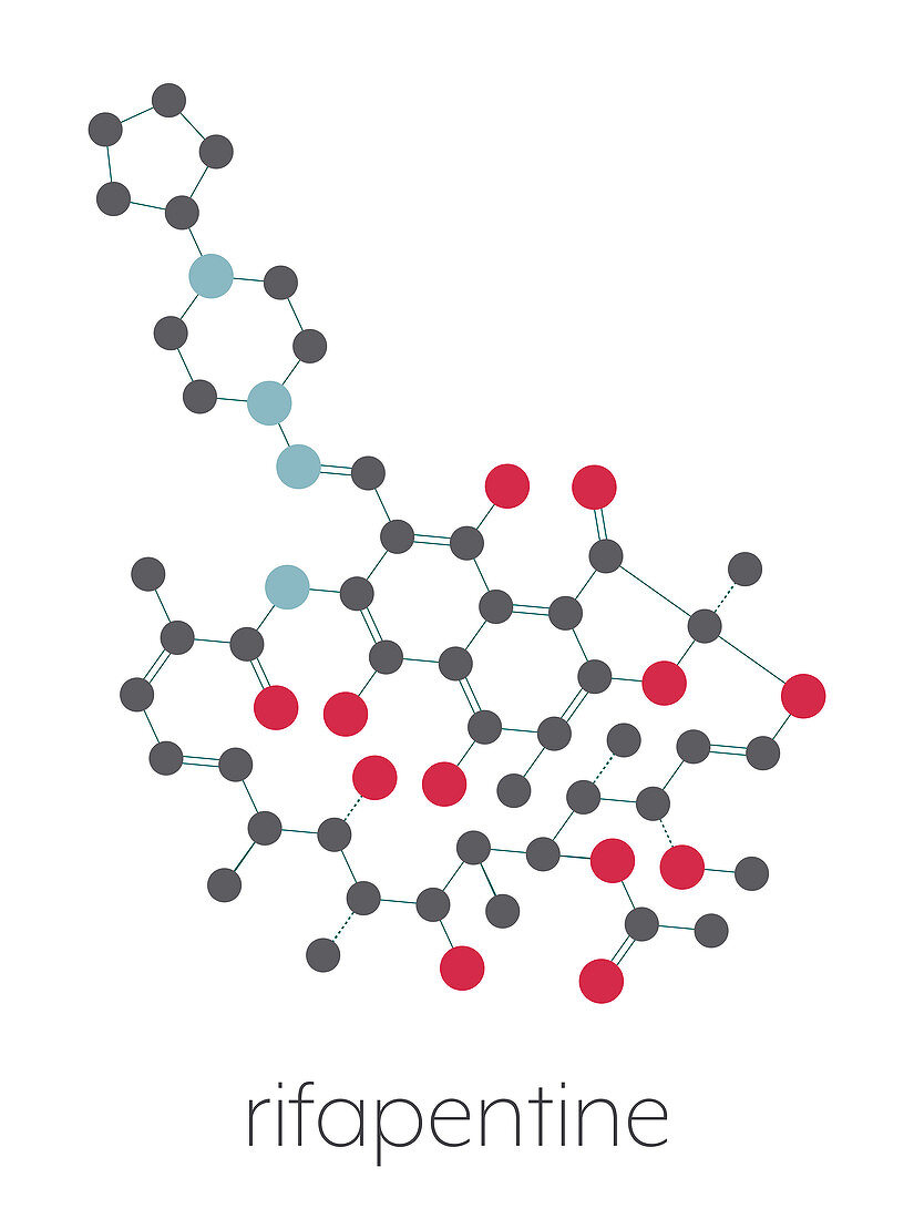 Rifapentine antibiotic drug molecule, illustration