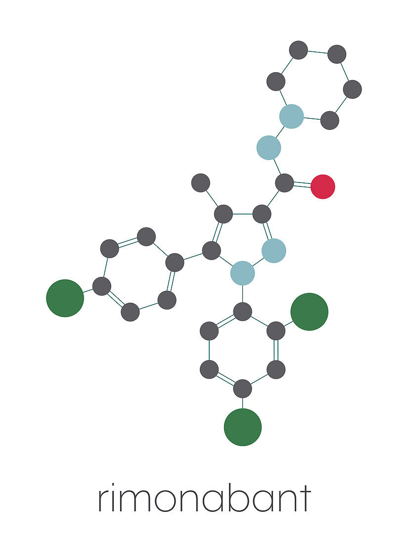 Rimonabant obesity drug molecule, illustration