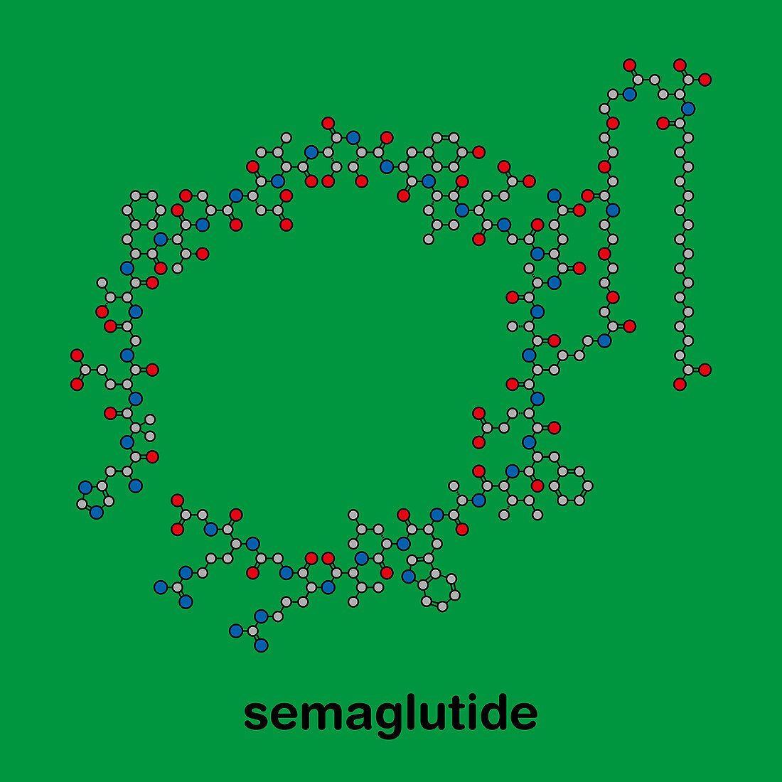 Semaglutide diabetes drug molecule, illustration