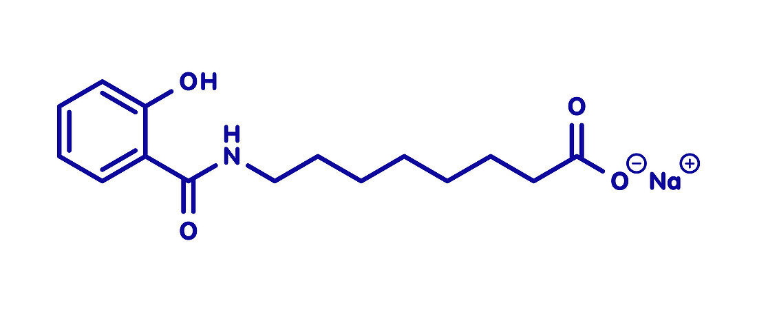 Sodium salcaprozate or SNAC molecule, illustration