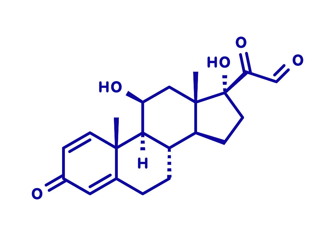 Prednisolone corticosteroid drug molecule, illustration