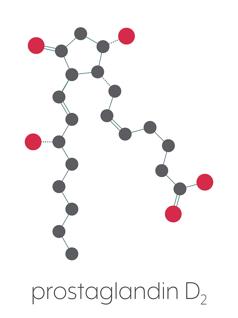 Prostaglandin D2 molecule, illustration