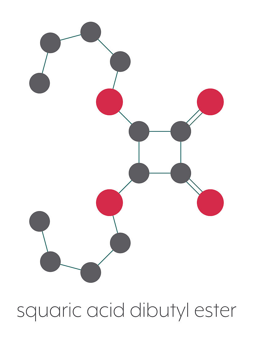 Squaric acid dibutyl ester drug molecule, illustration