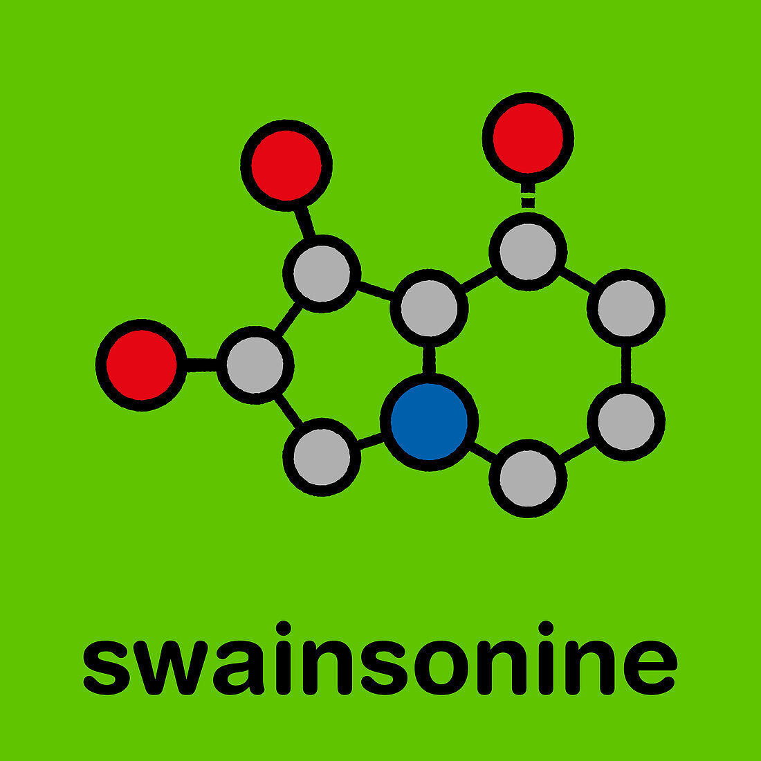 Swainsonine locoweed toxin molecule, illustration