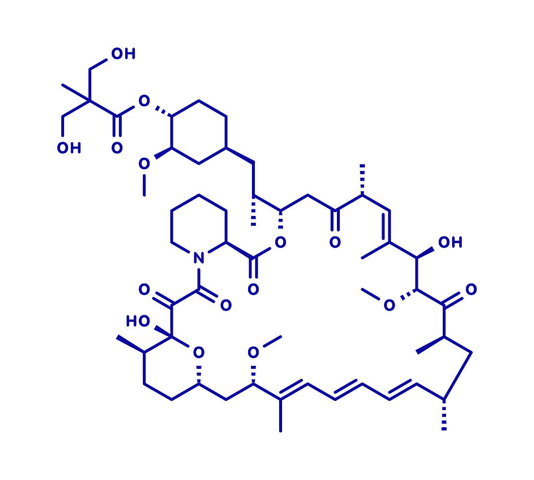 Temsirolimus cancer drug molecule, illustration