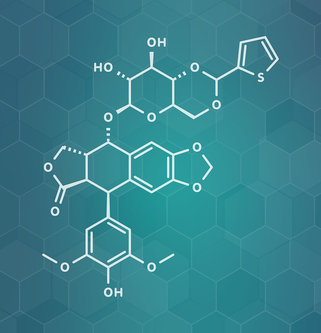 Teniposide cancer drug molecule, illustration
