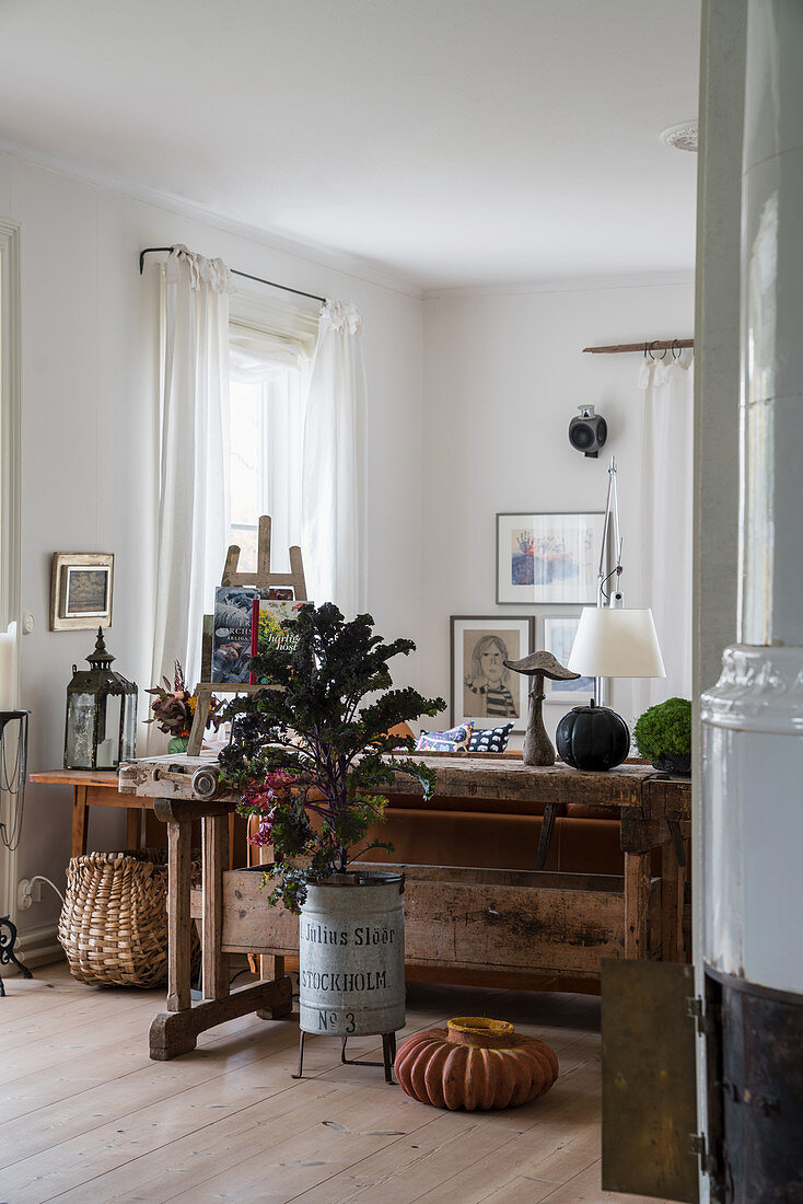 Old workbench and ornamental cabbage in living room with autumnal decorations