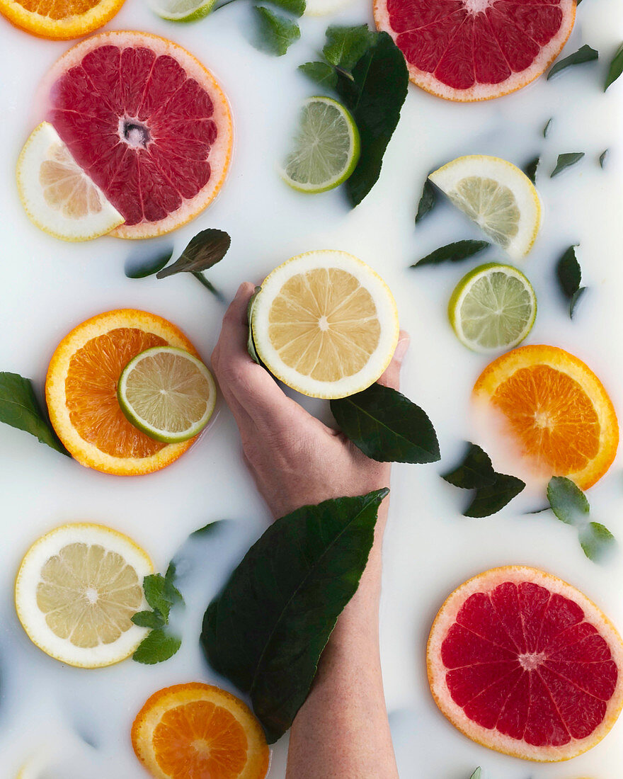 Tasty yellow lemon among rounds of colorful lime orange and grapefruit with green leafs in milk bath