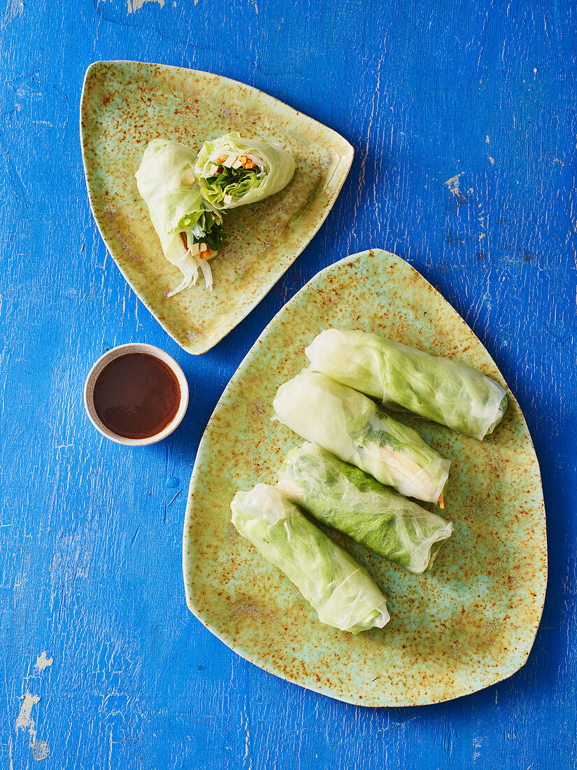 Thai summer rolls with tofu