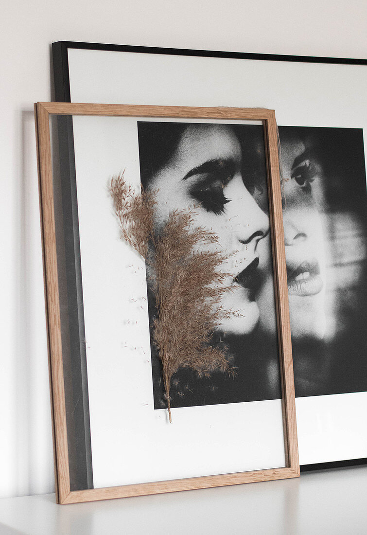 Pressed plant sprig between plates of glass in frame in front of portrait of woman