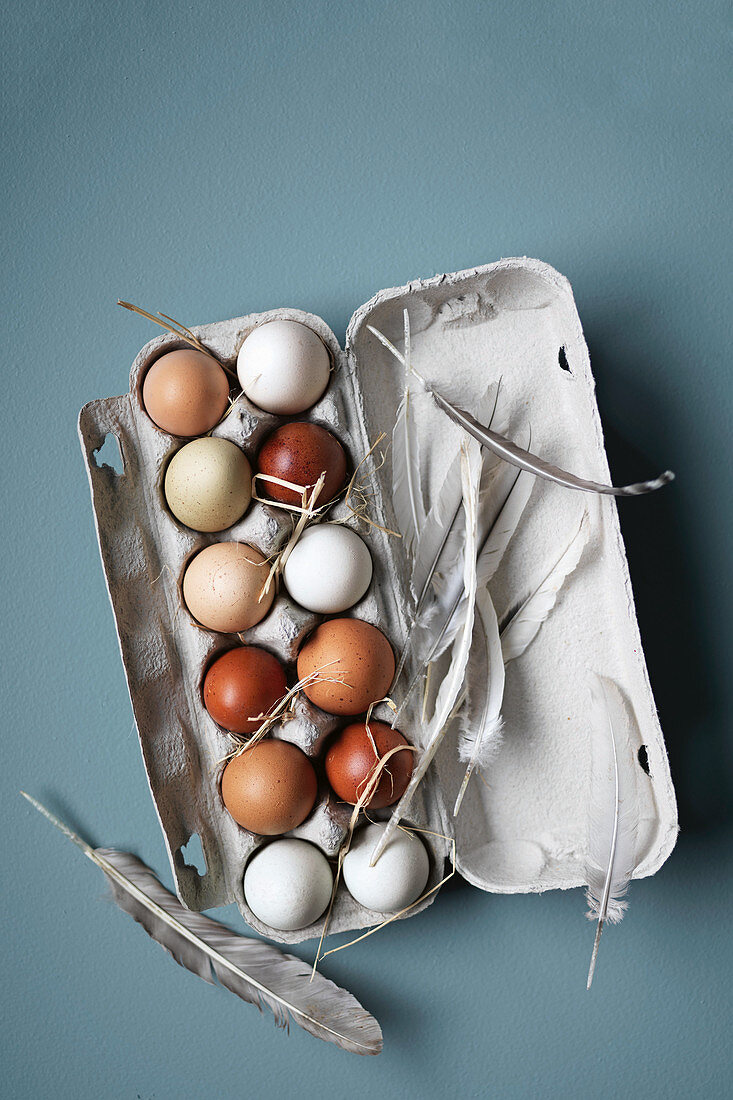 Weisse und braune Eier im Eierkarton mit Federn
