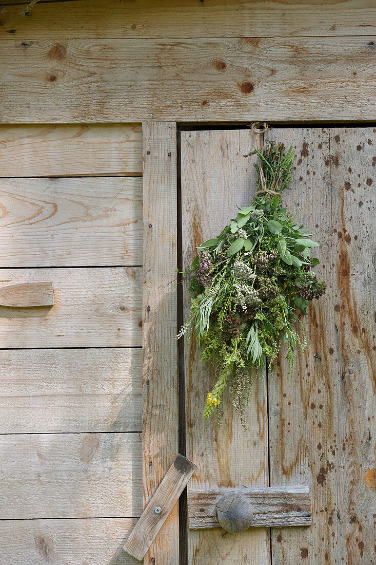 A bunch of medicinal herbs hanging to dry on a wooden door