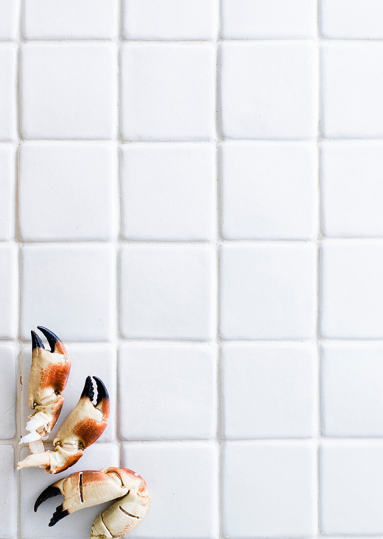 Crab claws on a white tile background