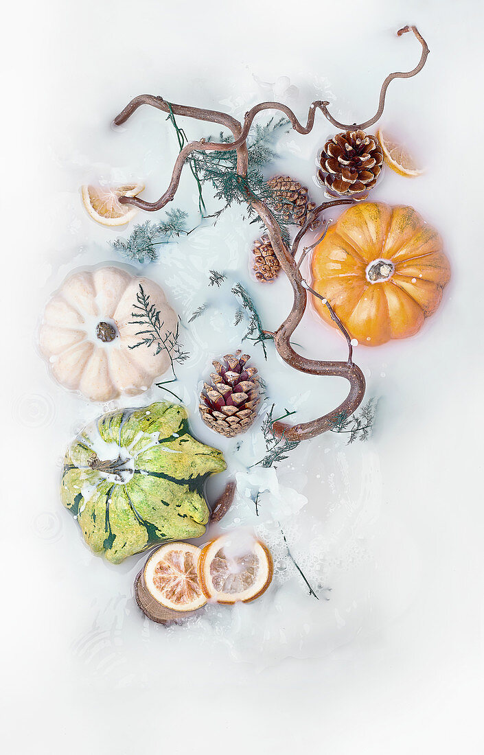 Colorful pumpkins and orange slices with cones and tree branches in milk bath