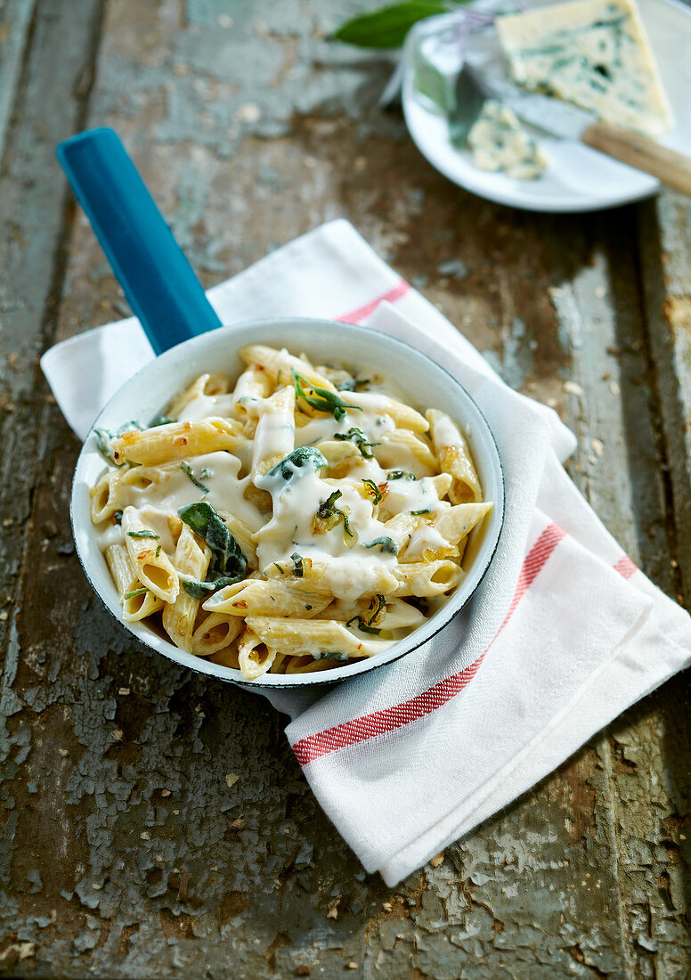 Penne with gorgonzola sauce and sage