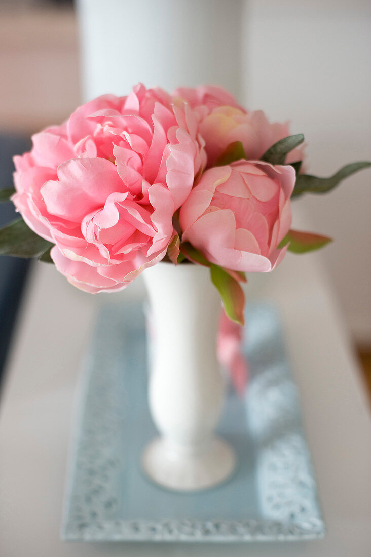Pink camellias in vase