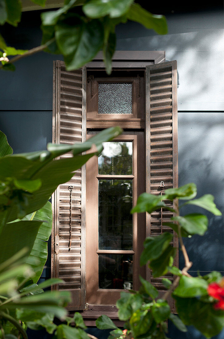 Blick zwischen Pflanzen hindurch auf schmales Fenster mit Fensterläden