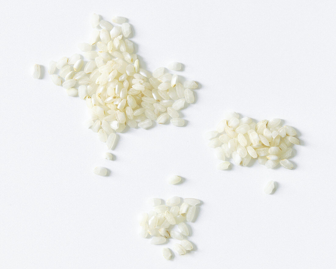 Short-grain rice