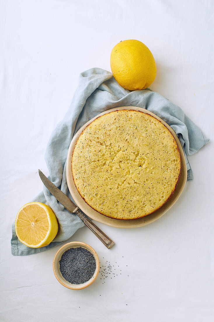Lemon sponge cake with poppy seeds