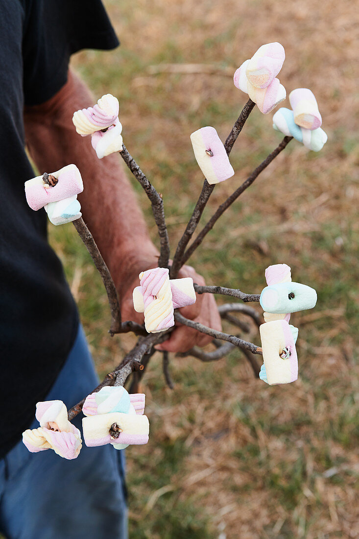 Marshmallows on skewers