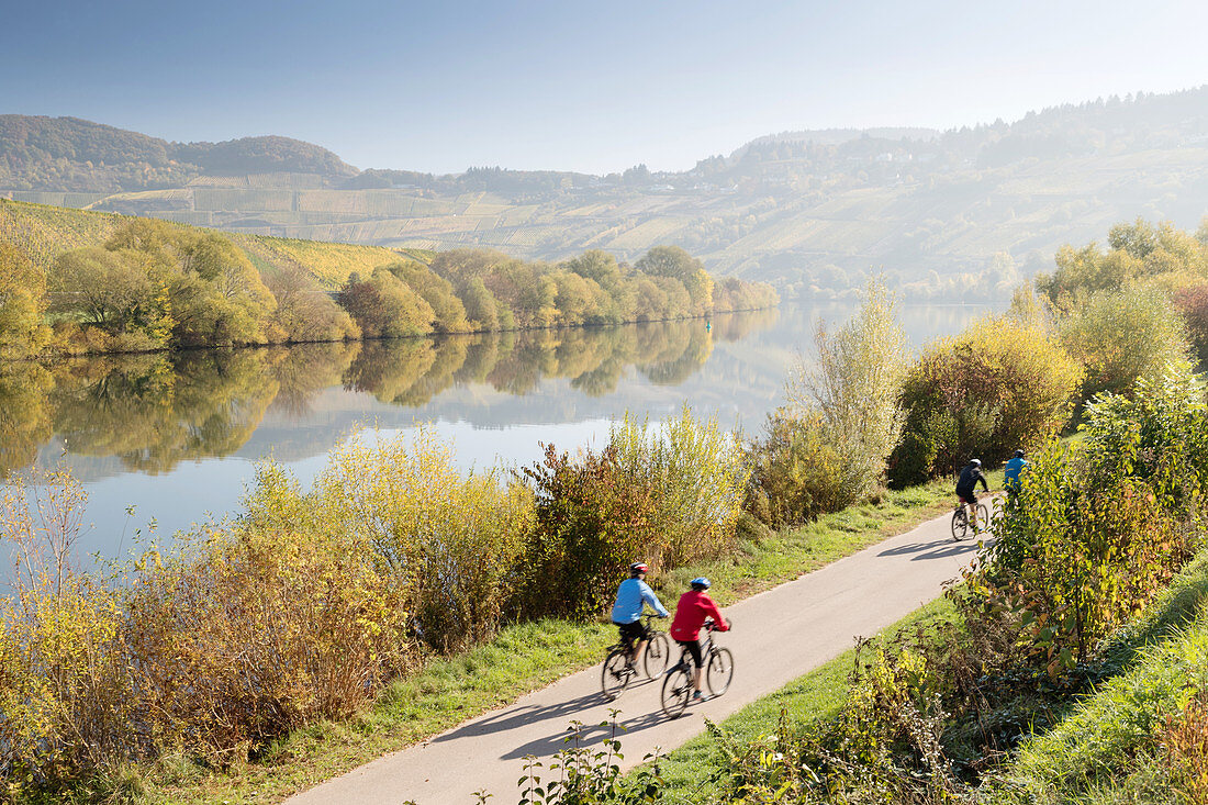 Cyclists near Leiwen on the Mosel, Rhineland-Palatinate, Germany