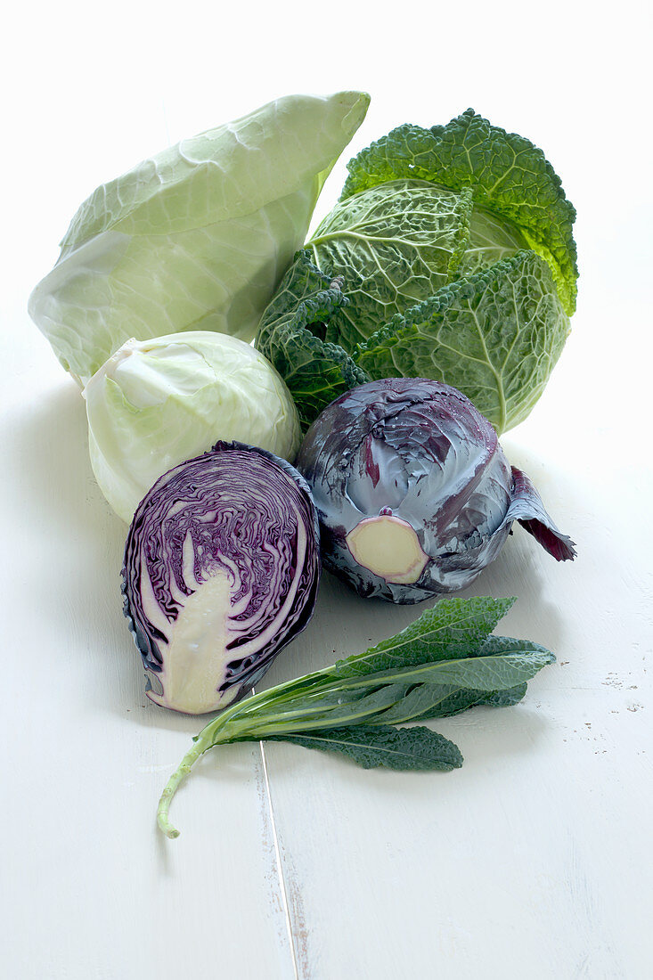 Different types of cabbage