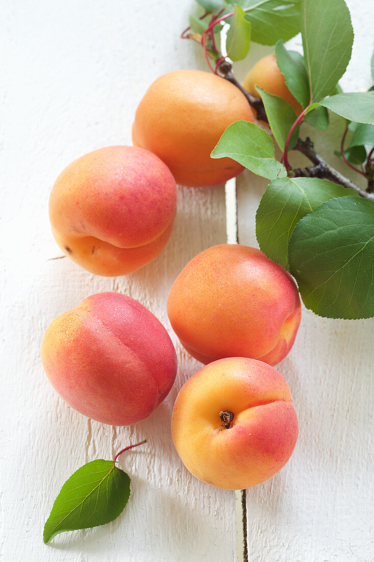 Fresh apricots with sprigs