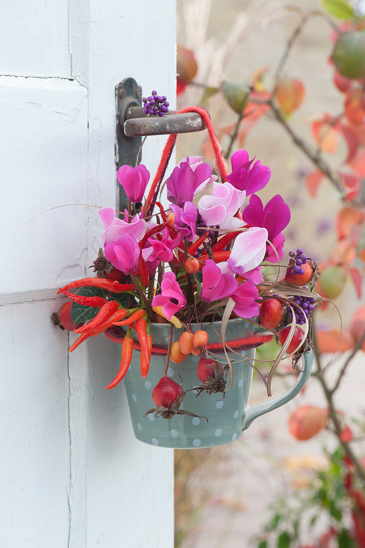 Small bouquet of cyclamen, ornamental peppers, rose hips, ornamental apples and berries from the love pearl bush on the door handle