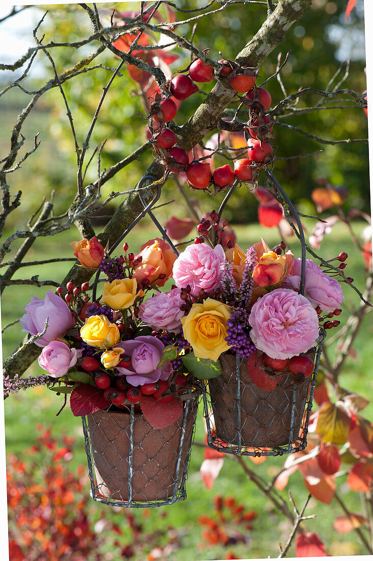 Small autumn bouquets with roses, rose hips, bud heather, autumn leaves and berries from the love pearl bush hung on a branch