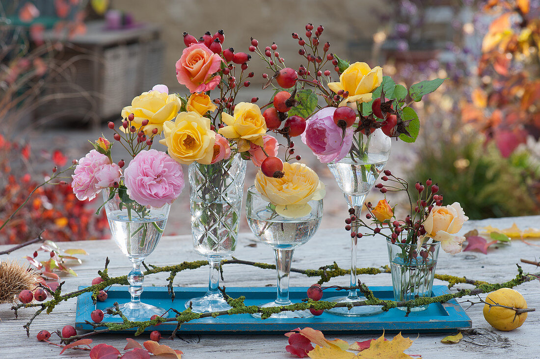 Kleine Sträuße aus Rosen und Hagebutten in Gläsern aufgereiht als Tischdekoration