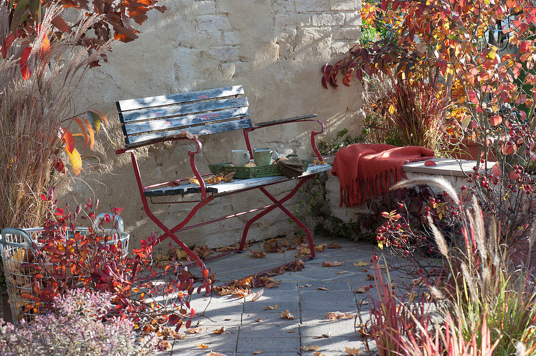 Bank auf Herbst-Terrasse zwischen Gehölzen mit Herbstfärbung und Gräsern