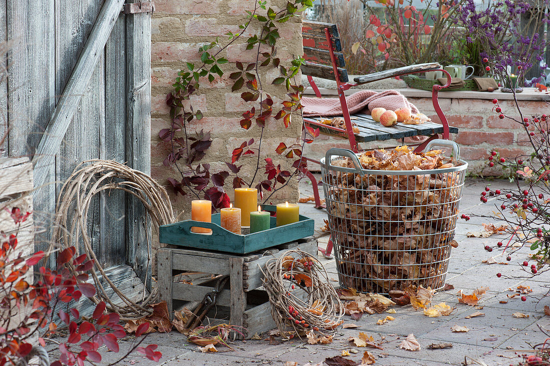 Herbst-Terrasse mit Brombeere, Hagebutte, Tablett mit Kerzen, Kränze aus Clematisranken und Drahtkorb mit Herbstlaub