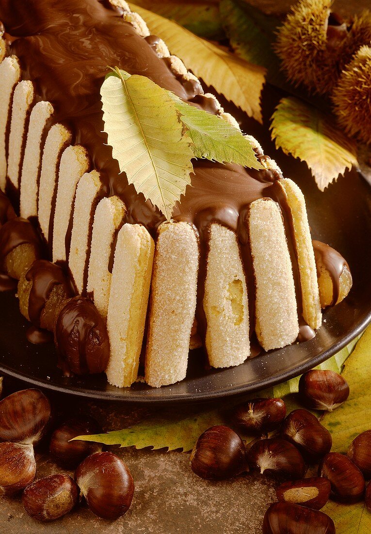 Maronenbaumstamm (Maronenkuchen mit Biskuits & Schokolade)