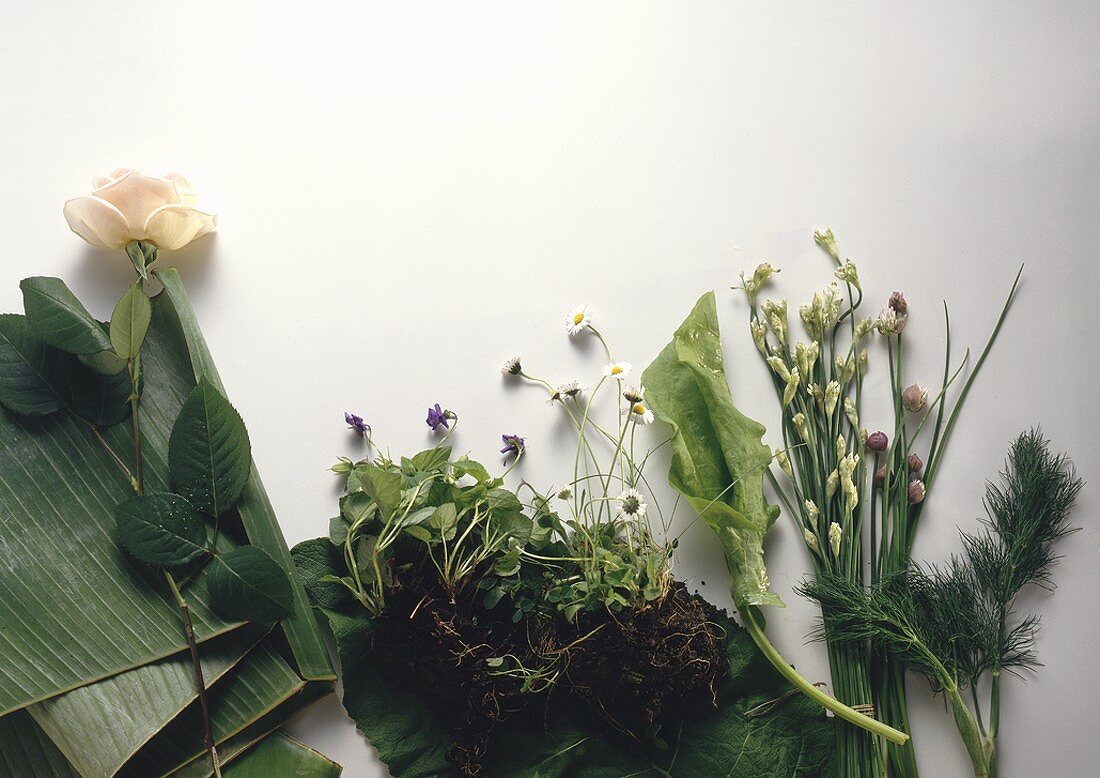 Various herbs, flowers and banana leaves