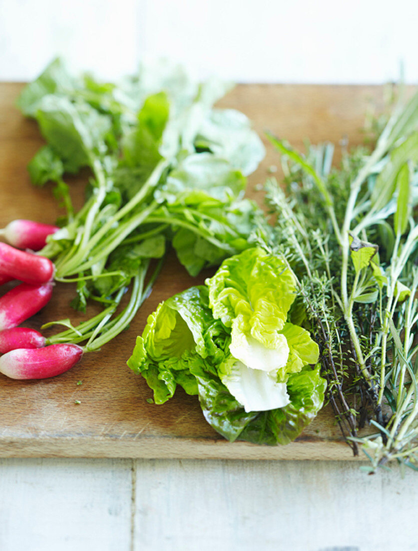 Lettuces, radishes and fresh herbs