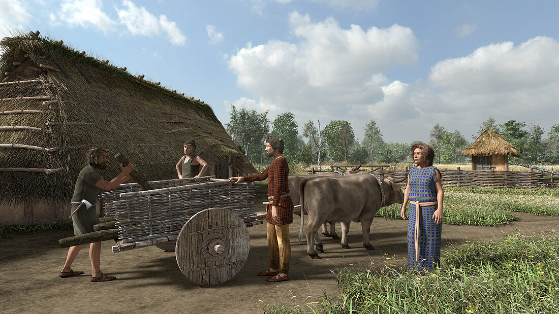 Iron age settlement, illustration