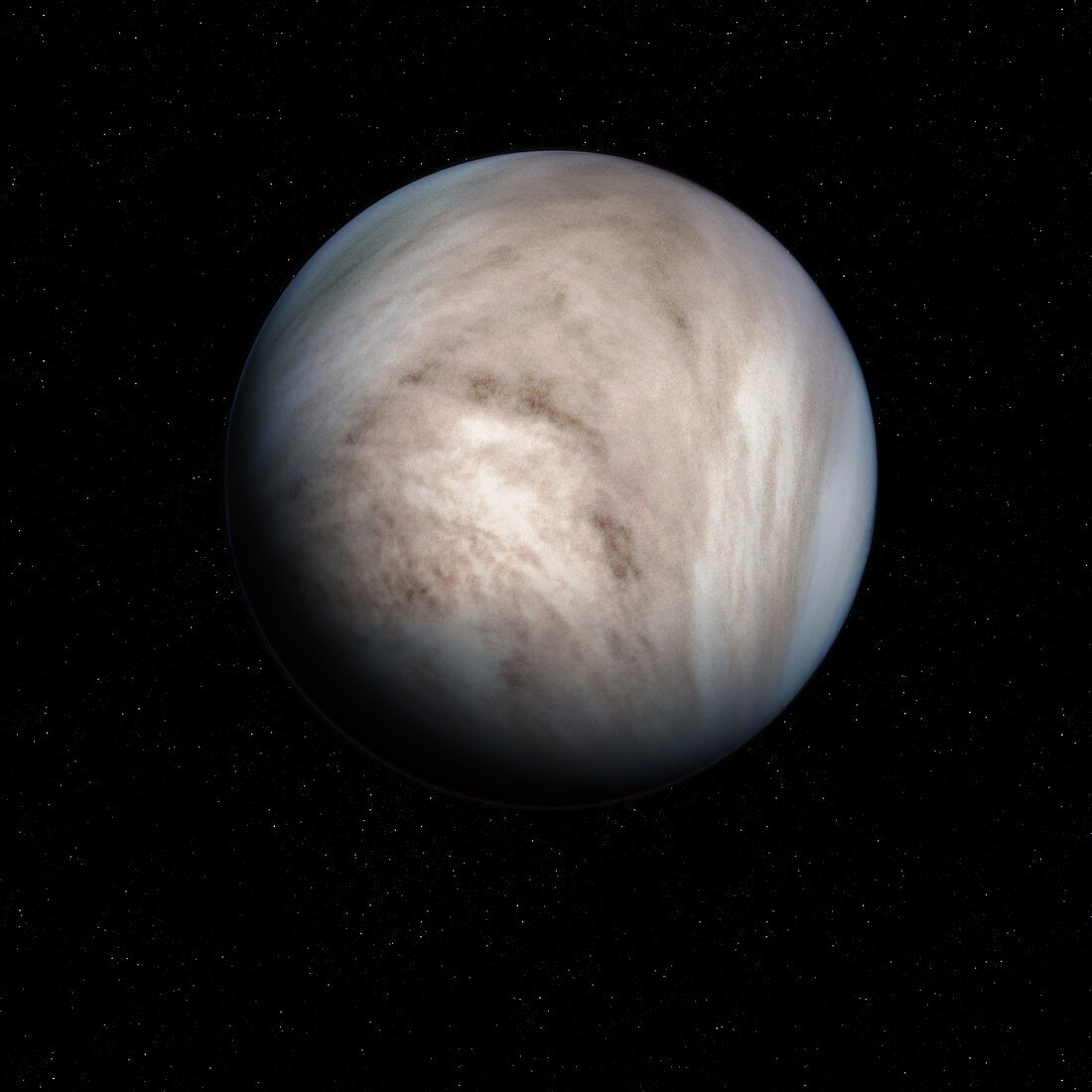 Venus, illustration